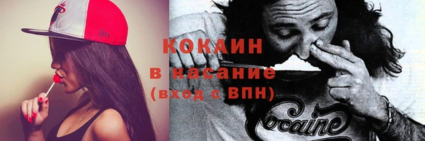 хмурый Инта