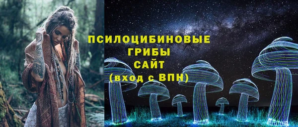 не бодяженный Иннополис