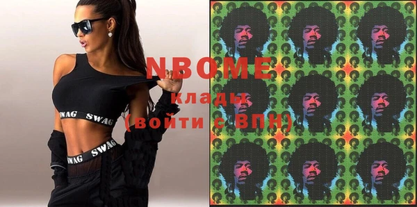 хмурый Инта